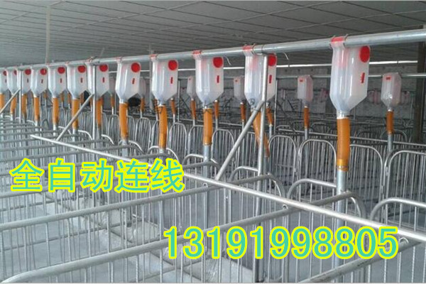 母豬產床自動化上料線